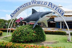 UNDER WATER WORLD PATTAYA